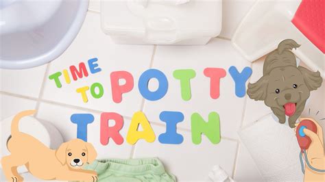 Dog Potty Training- The Fundamentals of Pooping Control