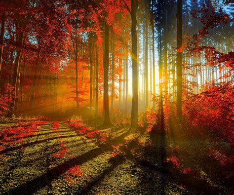 Autumn Sunrise Wallpapers - Wallpaper Cave