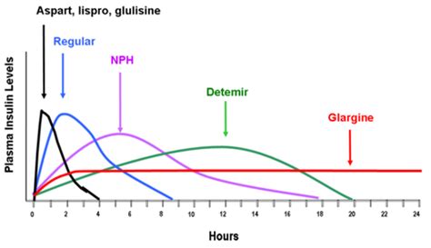 Nph insulin peak