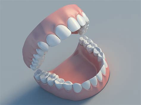 human teeth 3d model