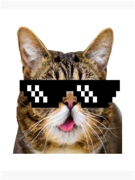 "Funny cat lawyer meme" Poster for Sale by Shiv44 | Redbubble