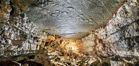 Dinosaur Footprints on a Cave Ceiling | CNRS News