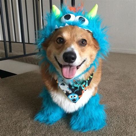 Rubie's Monster Halloween Dog Costume - Blue | BaxterBoo