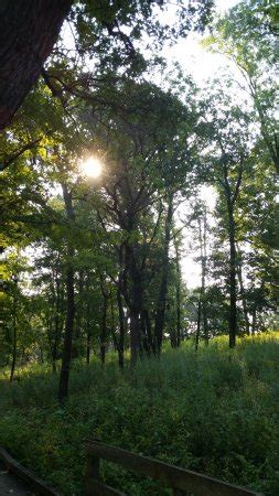 Fontenelle Forest Nature Center (Bellevue) - All You Need to Know Before You Go (with Photos ...