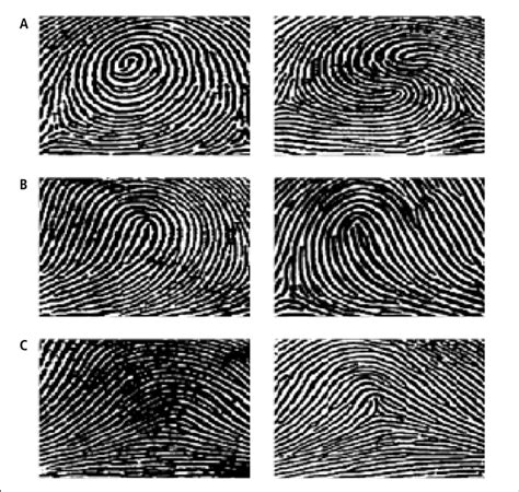 Whorl Fingerprint