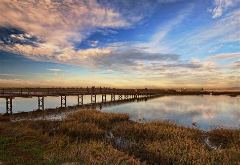 "Bolsa Chica Wetlands in Wide Angled View" by Susan Gary | Redbubble