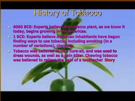 PPT - History of Tobacco PowerPoint Presentation, free download - ID ...