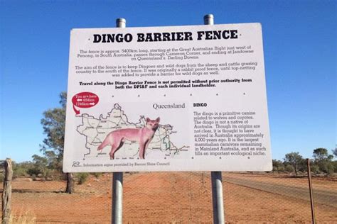 Dingo Fence - World's Longest Fence - Unbelievable Info