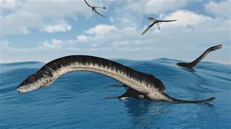 They Find The Fossil Of A True “Sea Monster” Of 15 Tons In Antarctica ...