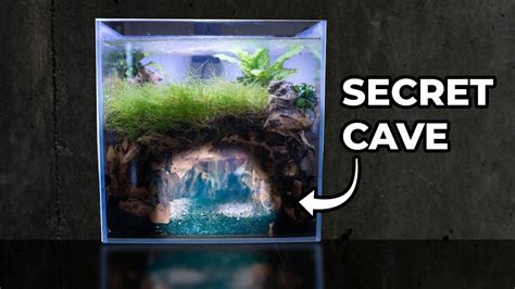 extra large aquarium caves - shop.prabhusteels.com