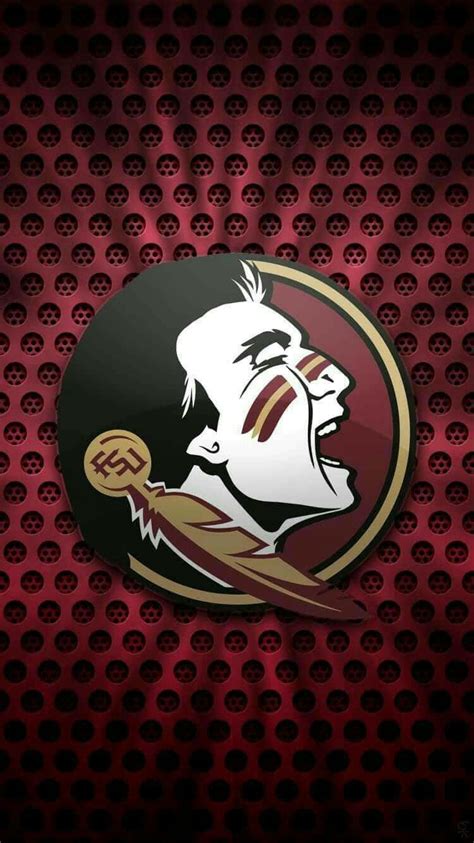 [100+] Fsu Wallpapers | Wallpapers.com