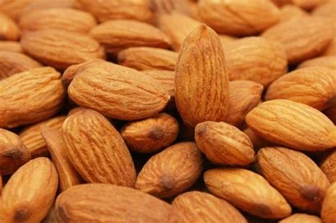 Almond Seed - Wholesale Price & Mandi Rate for Almond Seed in India