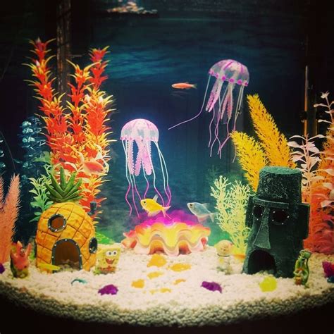 SpongeBob themed aquarium complete with jelly fish | Fish aquarium decorations, Fish tank ...