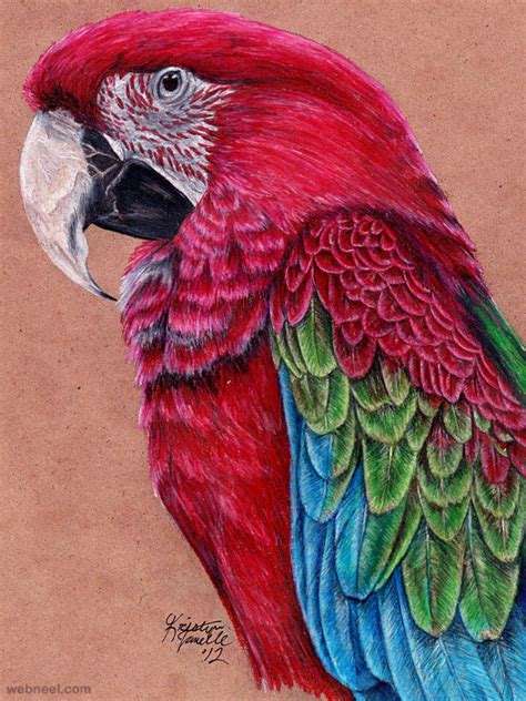 40 Beautiful Bird Drawings and Art works for your inspiration