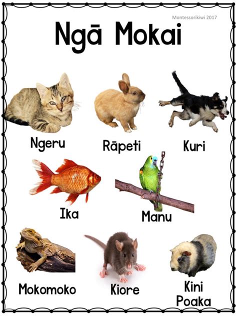 Maori Animal Posters x 4 – montessorikiwi