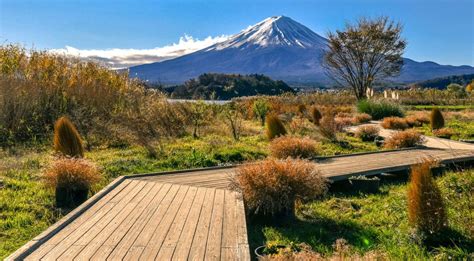 Views of Mount Fuji from Lake Kawaguchi — Oceans to Alpines