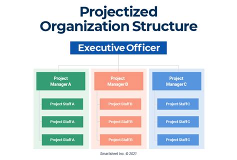 C Level Org Chart: Bảng tổ chức Cấp cao thu hút người dùng click vào!