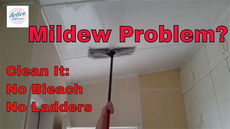 How Do You Clean Mildew Off Bathroom Ceiling – Artcomcrea