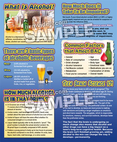 Spotlight on Alcohol and the Developing Teen Brain Pamphlets - Human ...