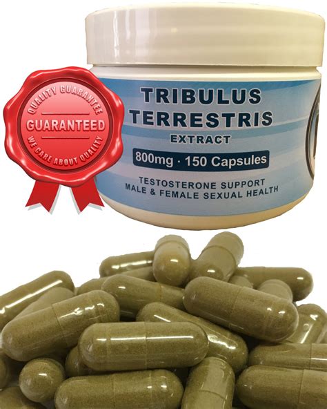 Buy Tribulus Terrestris Extract in South Africa from My Health Online.