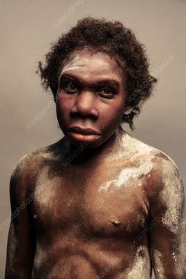 Turkana Boy model - Stock Image - C038/1045 - Science Photo Library