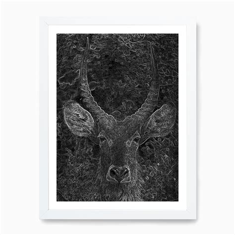 Antelope Art Print by Els Print Shop - Fy