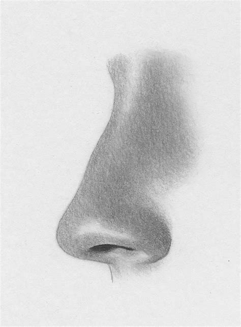 How to Draw the Nose - Profile View | RapidFireArt