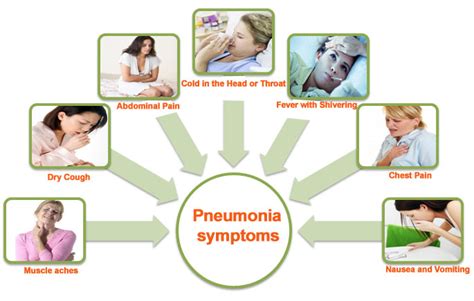 Signs & Symptoms Of Pneumonia Ιn Dogs