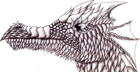 Dragon Scales Drawing at GetDrawings | Free download