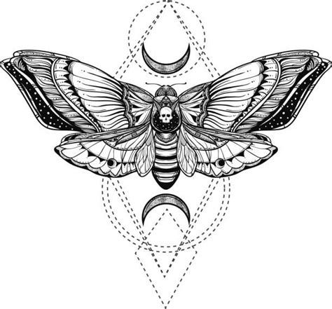 Royalty Free Deaths Head Moth Clip Art, Vector Images ... Moth Tattoo ...