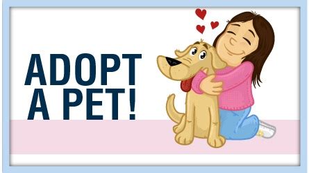 Save a Life During "National Adopt a Shelter Dog Month"