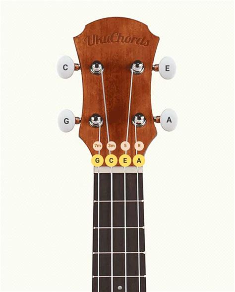 Ukulele Tunings, How Many Are There? • UkuTabs