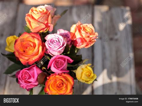 What does rainbow color roses mean – The Meaning Of Color