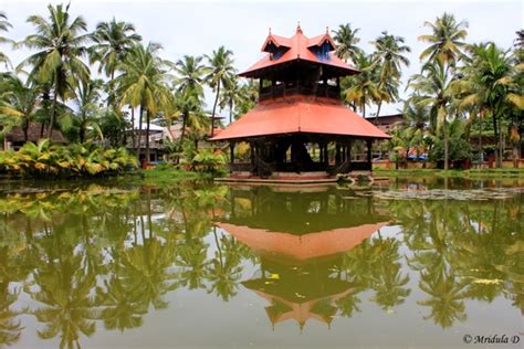 CTD Temple Pond, Fort Kochi, Kerala – Travel Tales from India and Abroad