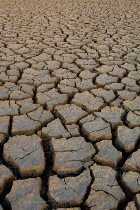 Cracked mud on the salt flats of the Little Rann of Kutch. Gujarat. SW INDIA - Stock Photo ...