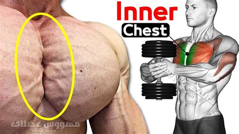 Inner Chest Workout, Chest Workout For Mass, Chest Workout Routine, Best Chest Workout, Abs ...