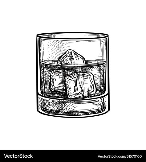 Ink sketch whiskey glass Royalty Free Vector Image