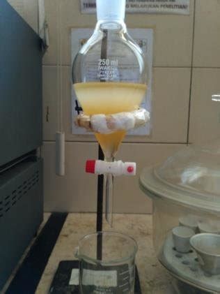 Maceration extraction (i) a color during maceration extraction; (ii) a... | Download Scientific ...