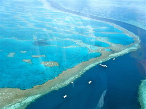 Why the Great Barrier Reef is dying and why we should care