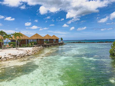 Aruba: Flamingo Island