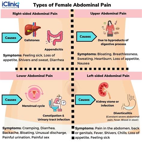 Abdominal Pain Female Diagram