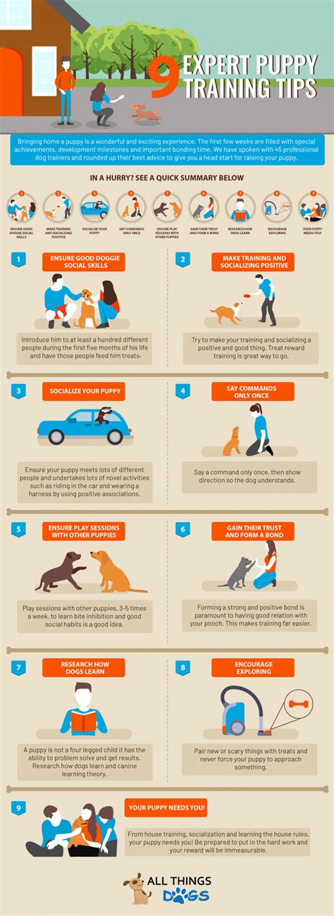 Puppy Training Tips: 45 Dog Experts Share Their Secrets | All Things Dogs