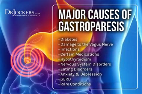 Gastroparesis: Symptoms, Causes and Natural Support Strategies