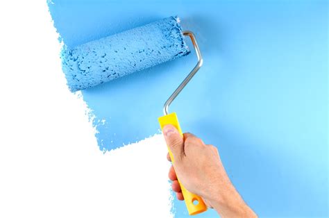 Here’s Why Painting Over Mold is Never a Good Idea