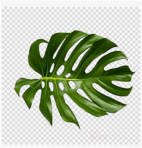 Printable Palm Leaf Clip Art : Palm Leaves Set PNG Clip Art Image | Gallery Yopriceville ...