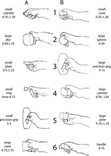 Grasp Patterns Occupational Therapy