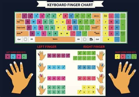 Touch Typing Techniques - Finger Chart Diagram | Typing tutorial, Typing skills, Learn to type