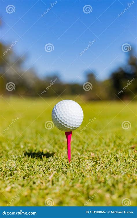 Golf Ball on a Tee at a Golf Course Stock Image - Image of leisure ...