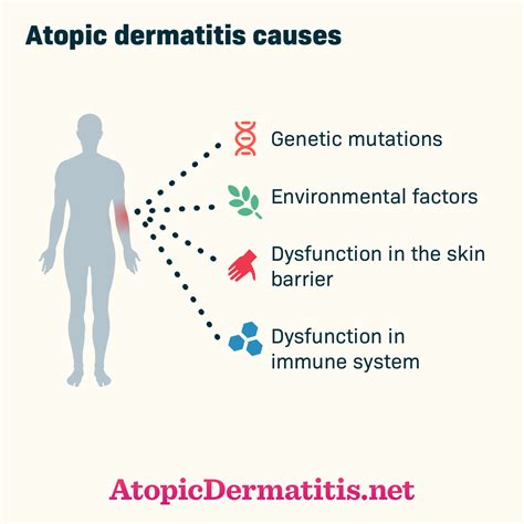 What Causes Atopic Dermatitis or Eczema?