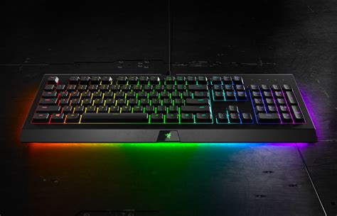 Razer Launches Value-Oriented Cynosa Chroma Keyboards | TechPowerUp